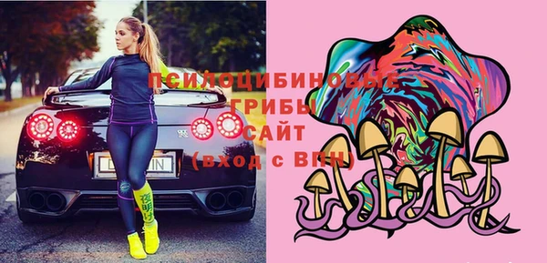 твердый Алзамай